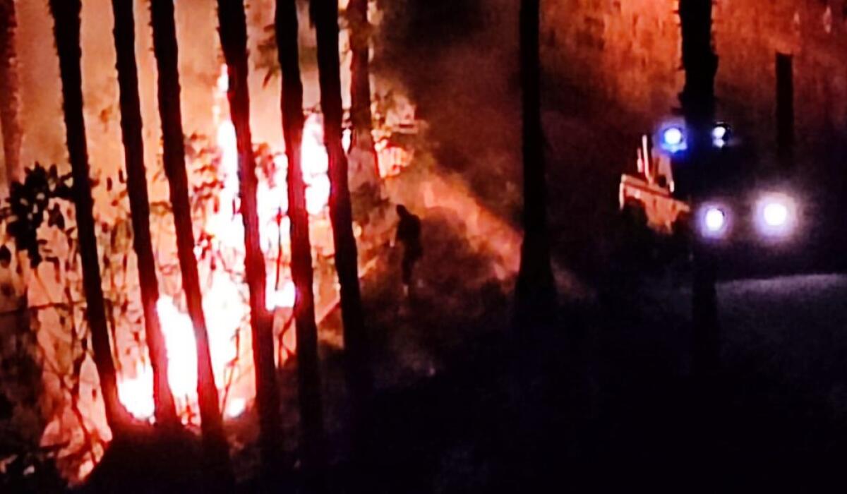 Fiamme nella villa comunale, nella notte incendio nelle aree verdi della zona - Le fiamme nella notte