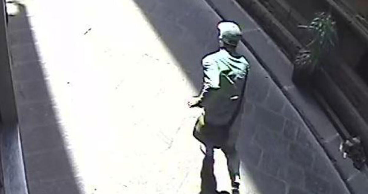 Furti in città, anche un borsello con la carta precettiva di un pregiudicato: assolto minore - Immagini di repertorio