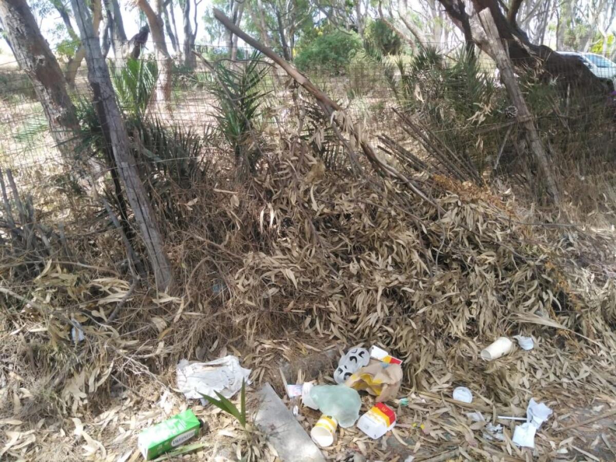 Incuria e decoro che non c'è: Giovani dem, "nessun risultato da Greco e Malluzzo" - 