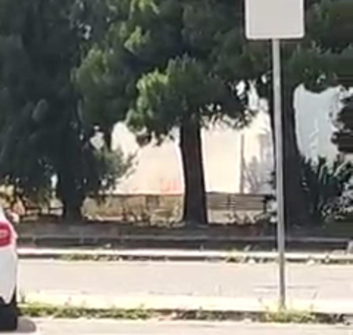 Rogo nelle aree verdi della stazione ferroviaria, fumo rende l'aria irrespirabile - 