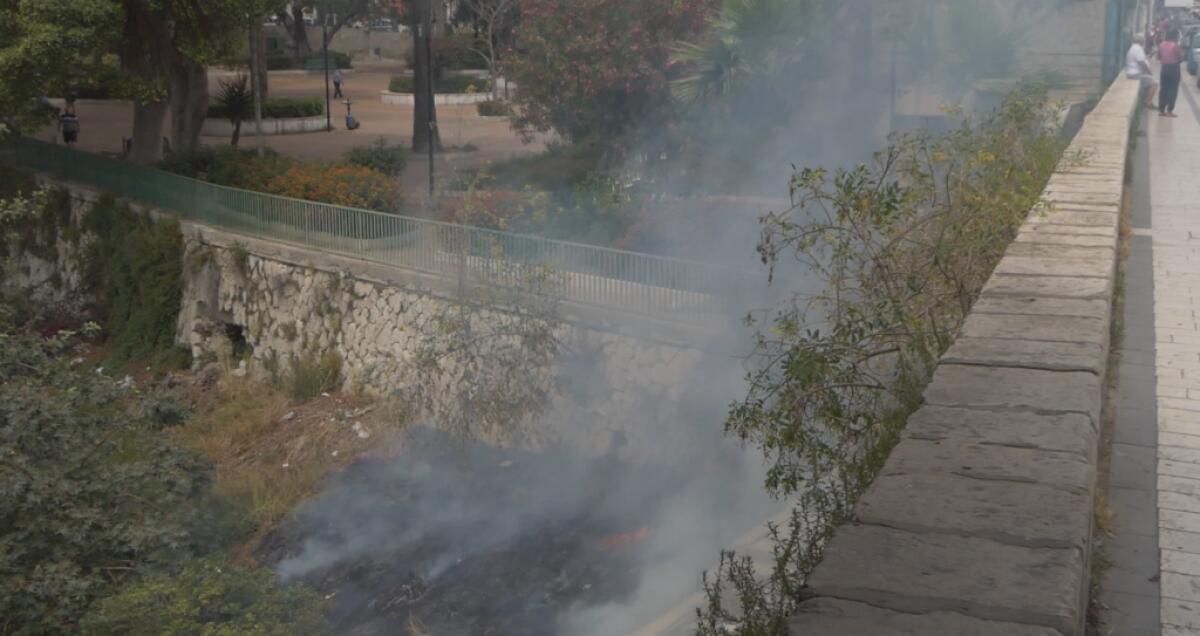 Una sigaretta accesa brucia l'orto Pasqualello - 