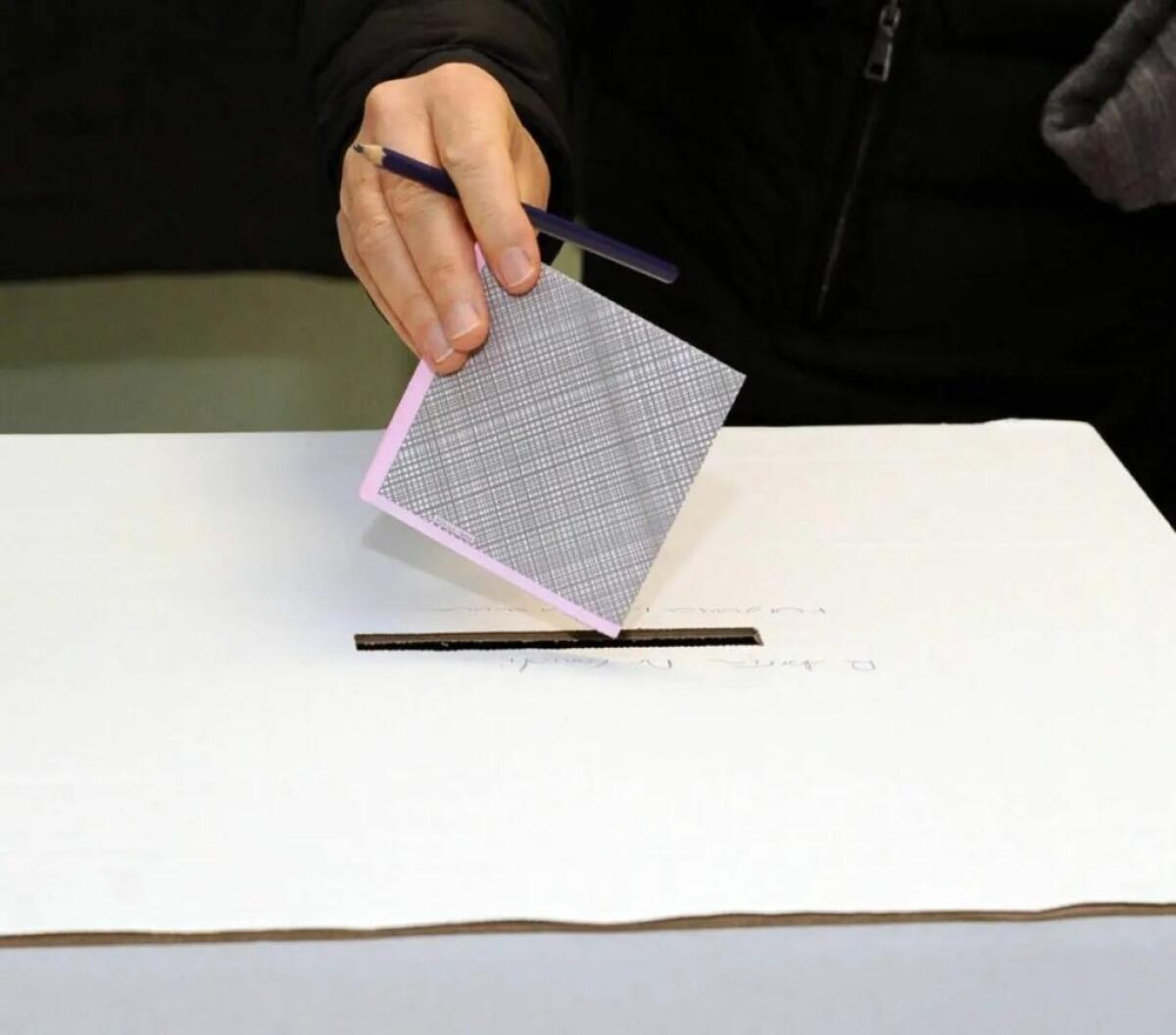 Comunali, a Palermo mancano presidenti seggio e scrutatori in 13 scuole - 