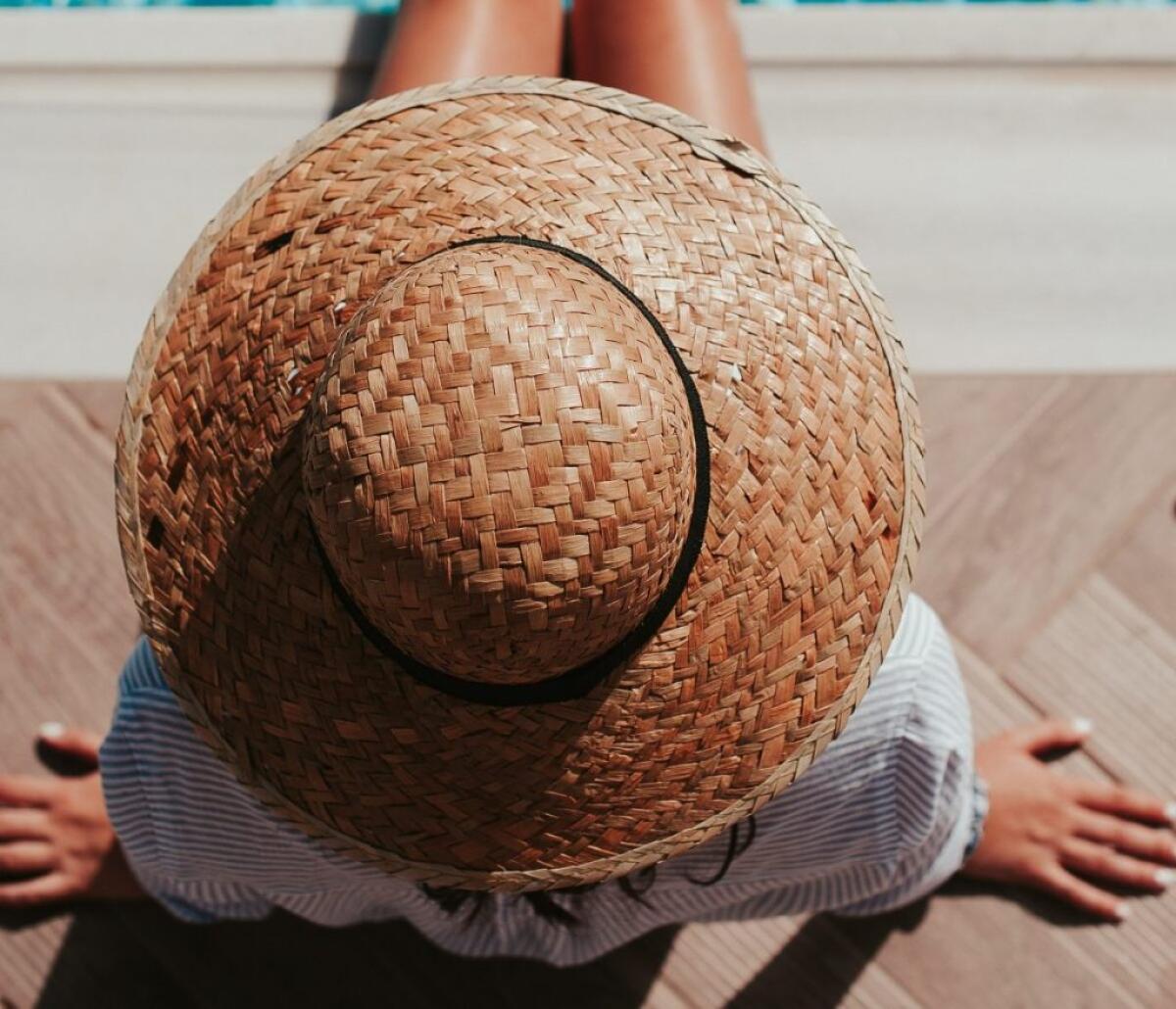 Estate fa rima con zanzare, oltre 70 specie in Italia - 