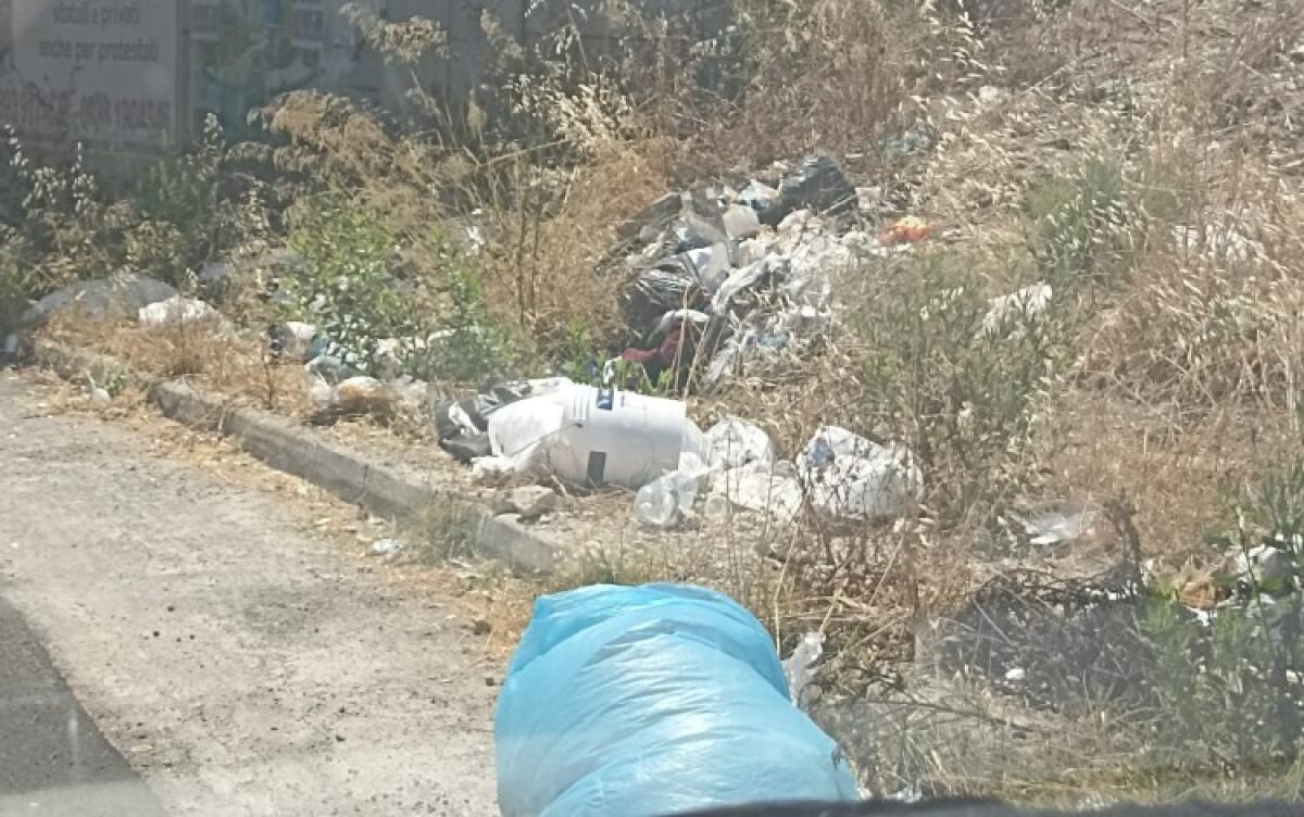 Greco tenta un piano straordinario di pulizia della città, giunta approva il suo atto di indirizzo - Rifiuti a ridosso della zona ex Asi