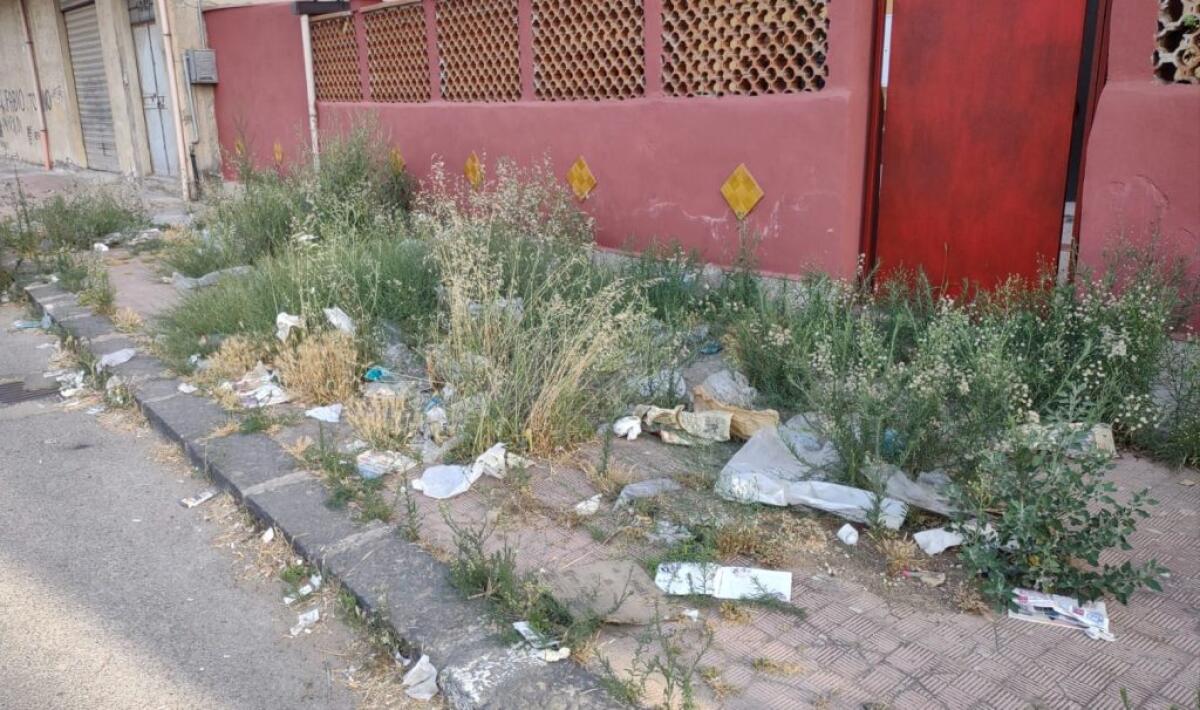 Via Madonna del Rosario, sterpaglie e rifiuti anche davanti alle abitazioni - 