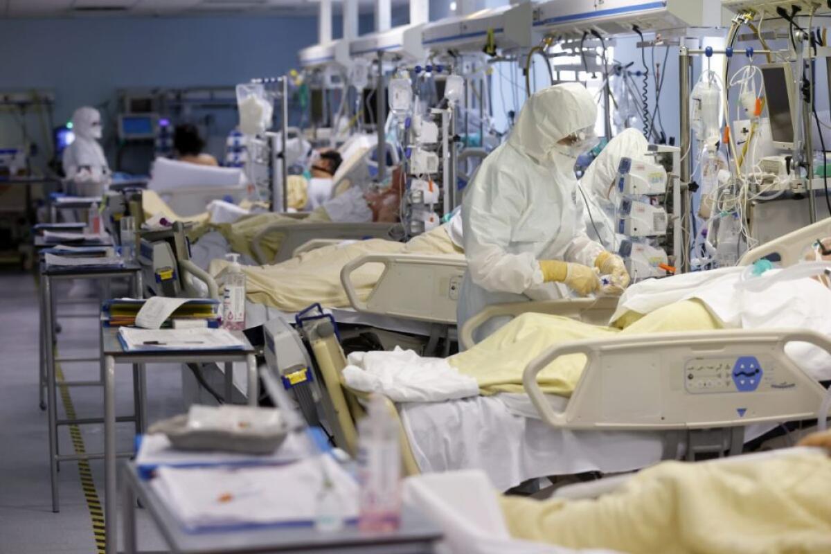 Covid, 67.817 nuovi casi e 79 decessi in 24 ore - 