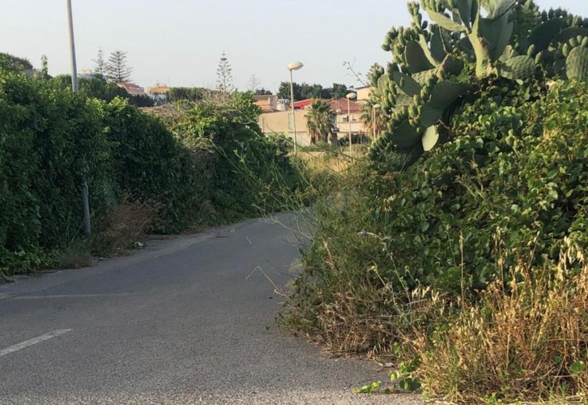 Manfria nel degrado tra incuria e zero servizi, la rabbia dei residenti - 