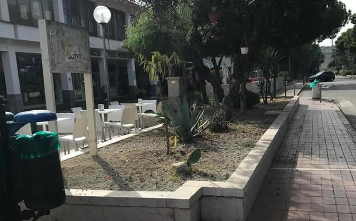 Pulizia nei quartieri, partiti interventi: prime attività a Macchitella - 