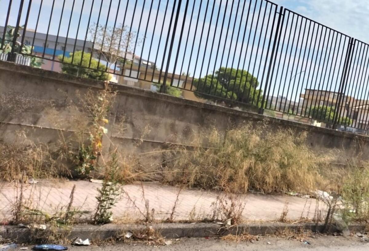 Erbacce occupano il marciapiede, segnalazioni dalla zona di via Portuense - Erbacce lungo il marciapiede