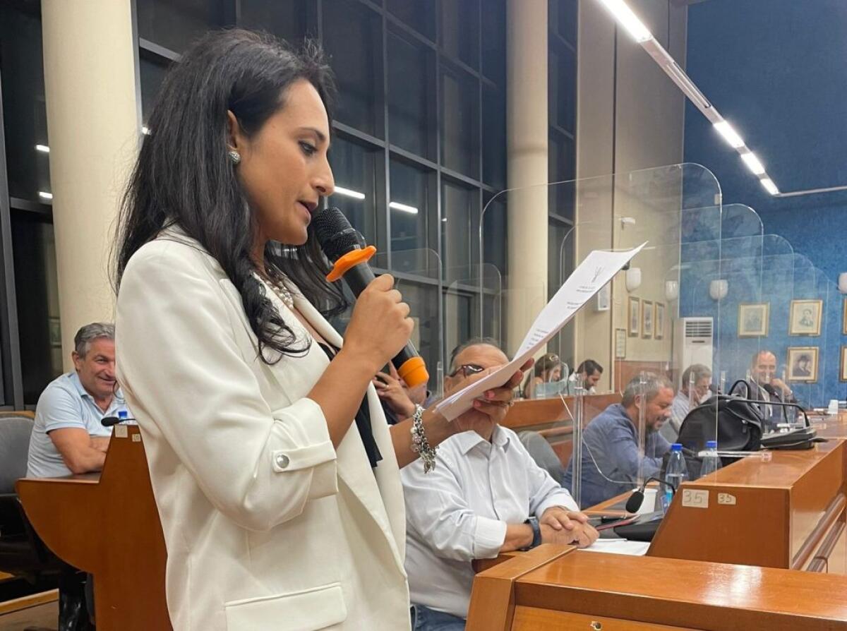 Marina Greco in consiglio comunale, ha giurato: subentra all'assessore Morselli - Il consigliere Marina Greco