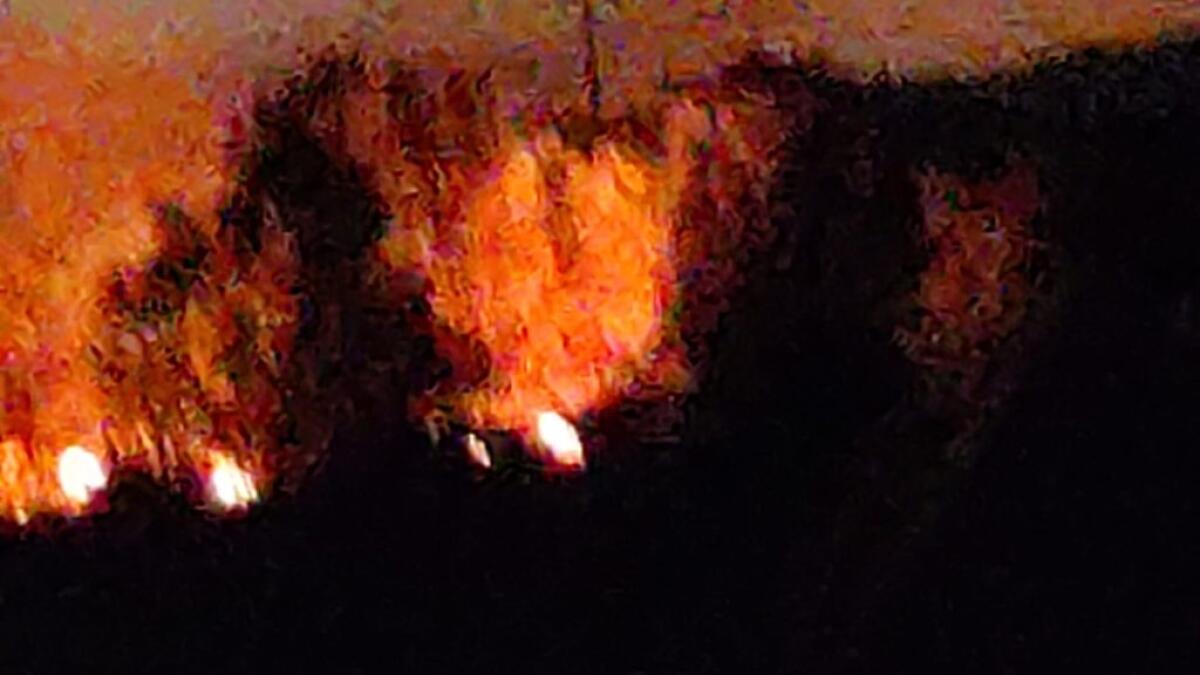 Ancora fiamme, incendio nella zona industriale: rogo in un'area incolta - Le fiamme a ridosso della zona industriale