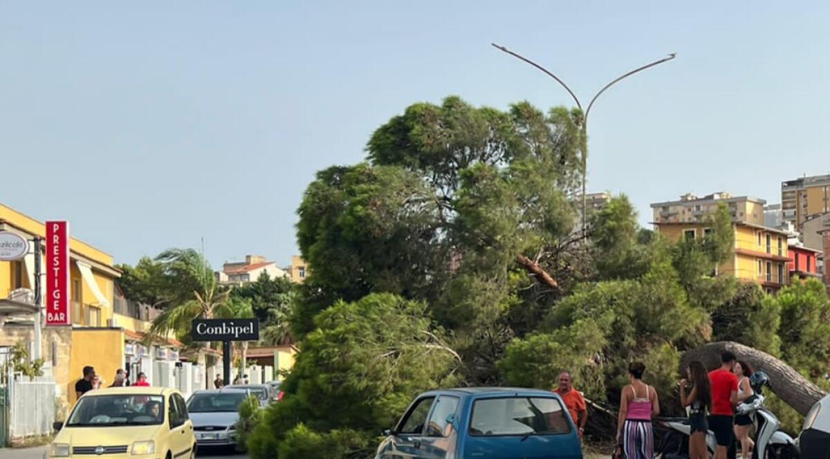 Il forte vento abbatte un albero, finisce su un'auto: c'erano una donna e due bambini - 