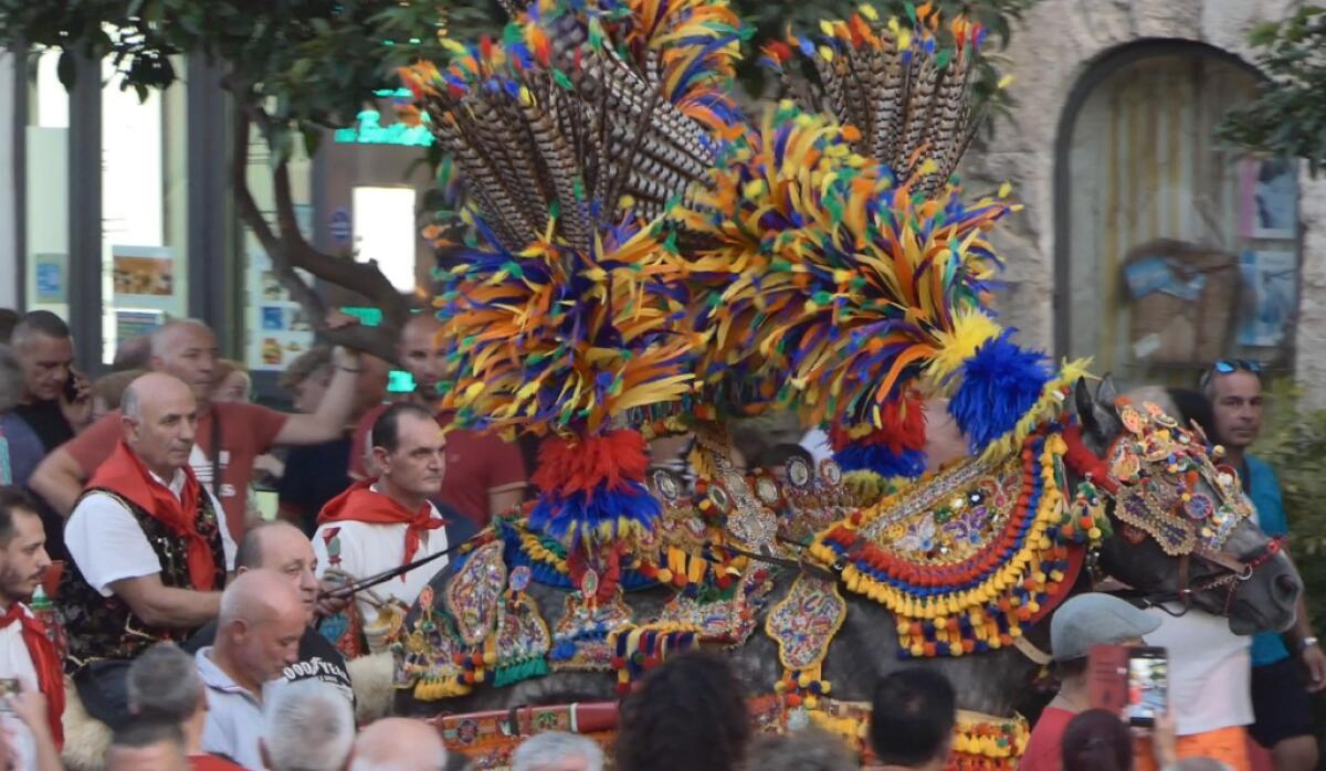 Primo raduno dei carretti siciliani,tra folclore e tradizioni - 