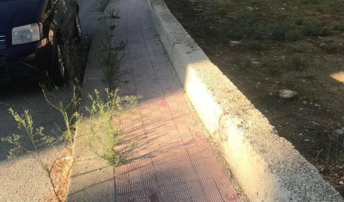 Erbacce e sterpaglie, "intervengano Ghelas e Tekra": Greco autorizza le attività - 