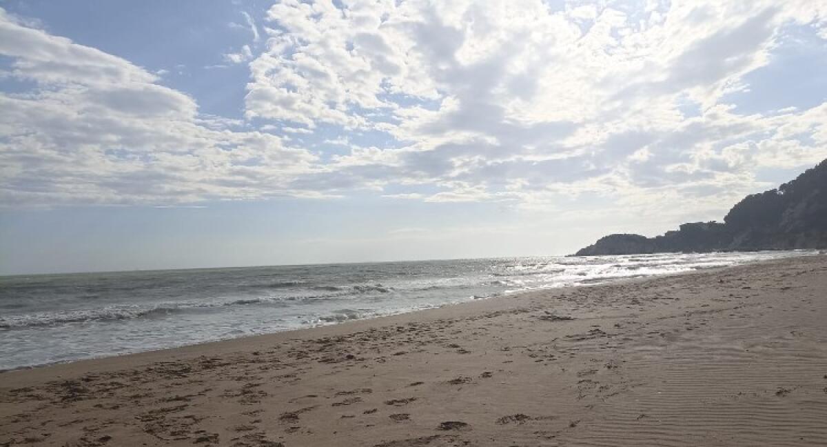 Malesseri tra bagnanti, timori per inquinamento: Greco, "mare eccellente, ok da ministero" - Un tratto di costa a Manfria