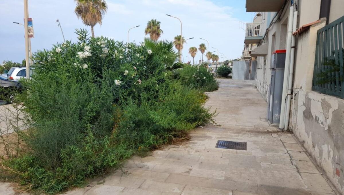 Lungomare, aree verdi: residenti chiedono la manutenzione di quelle già presenti - Una delle aree verdi sul lungomare