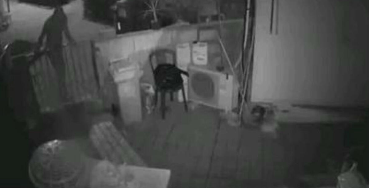 Colpo in un'abitazione alla Cittadella, rubati fucili: proprietario chiuso in una stanza - Immagini di repertorio