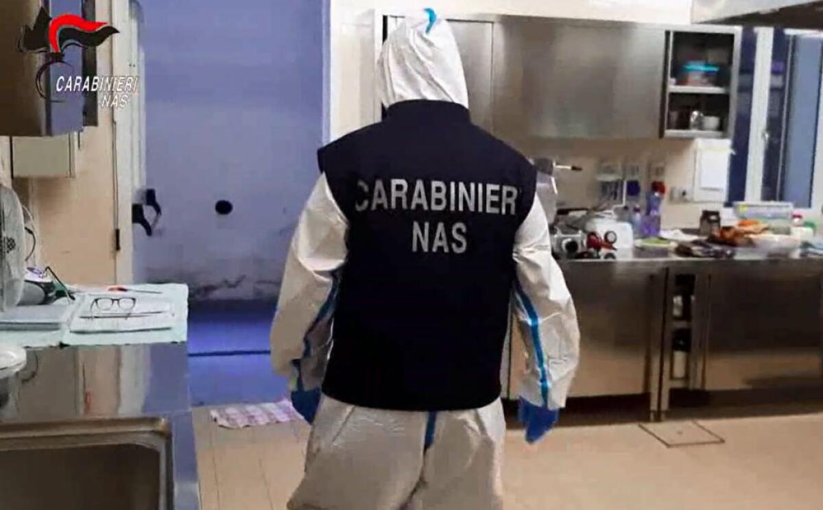 A Ferragosto il 20% delle Rsa irregolari, blatte e operatori ubriachi - 