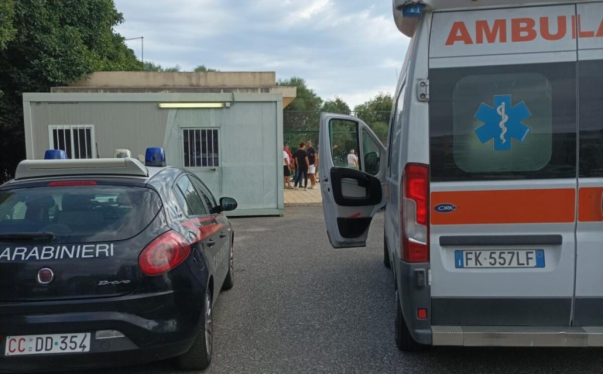 Famiglia tedesca aggredita da un branco di randagi in spiaggia, ferito un bambino - 