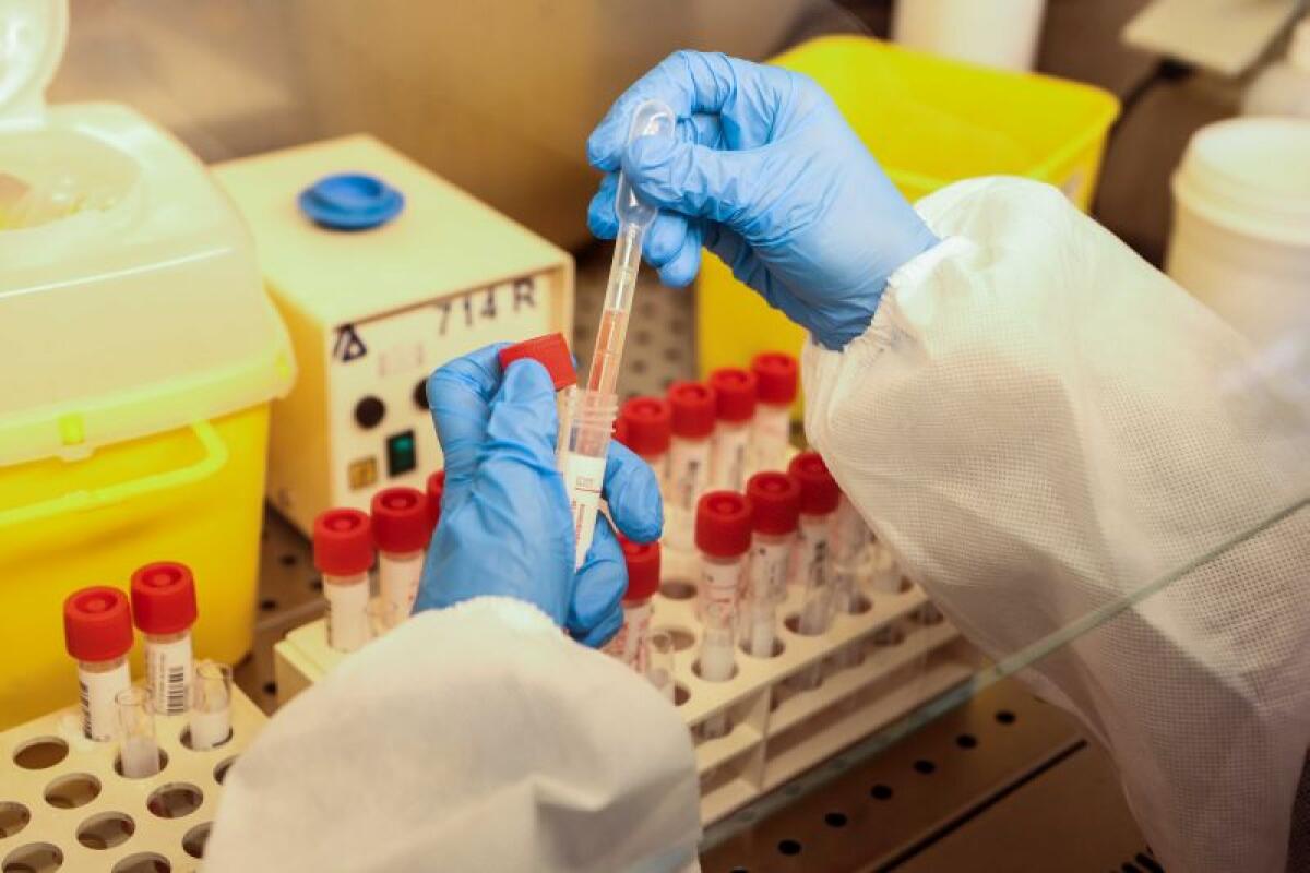 Covid, in aumento Rt e incidenza - 