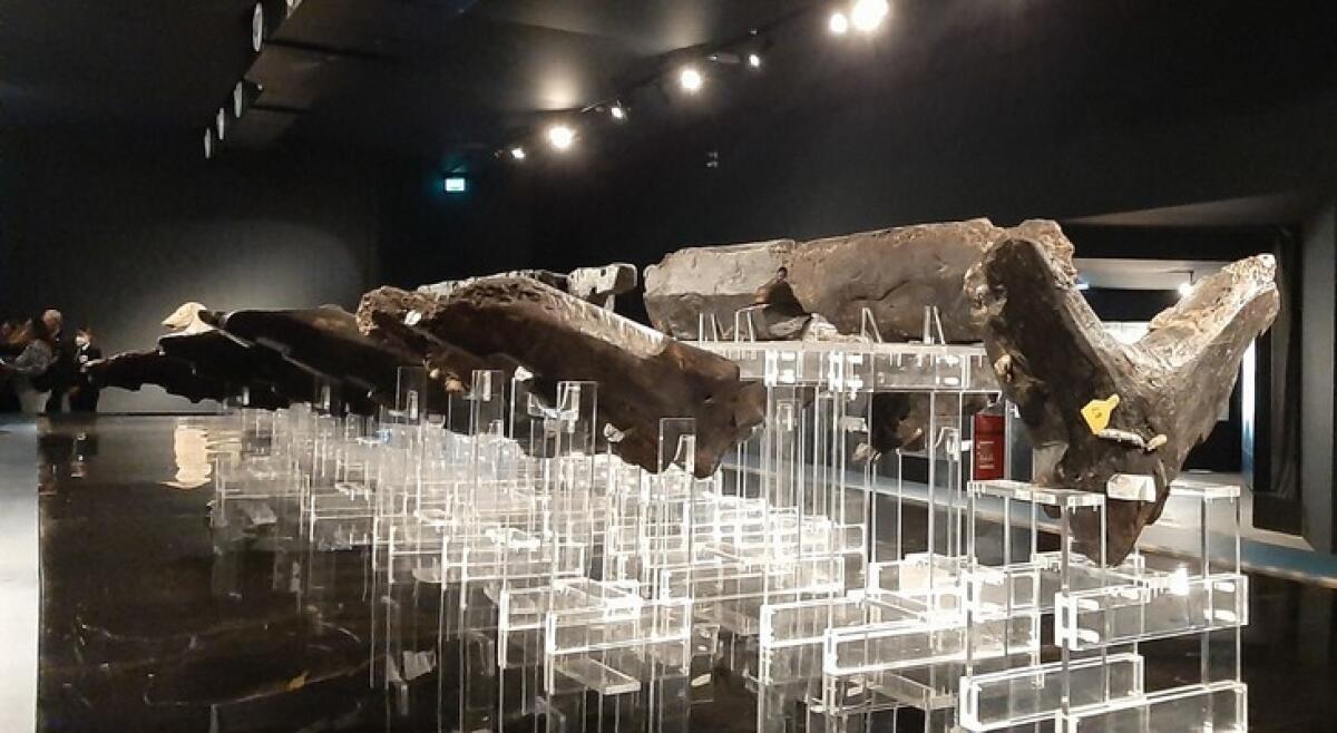 Due seminari dedicati ai giornalisti sulla mostra di Ulisse - 