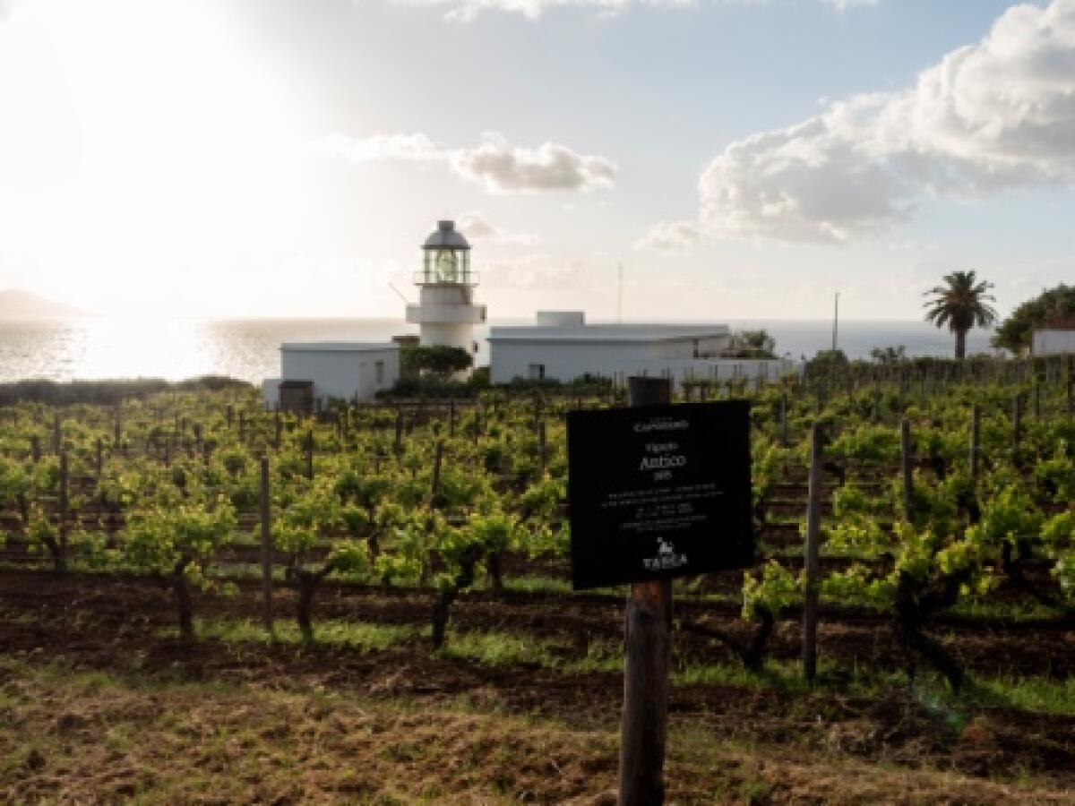 Tasca d’Almerita-Tenuta Capofaro premiata per miglior carta vini del mondo - 