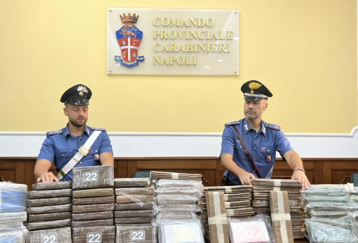 Napoli, nascondeva 105 KG di cocaina nella lavastoviglie, arrestato - 