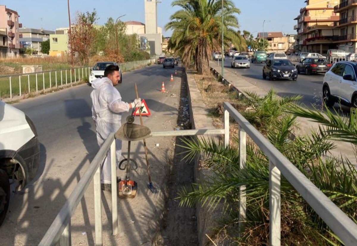 Sistema deflusso, interventi sulle caditoie: eliminata vegetazione spontanea sul lungomare - 