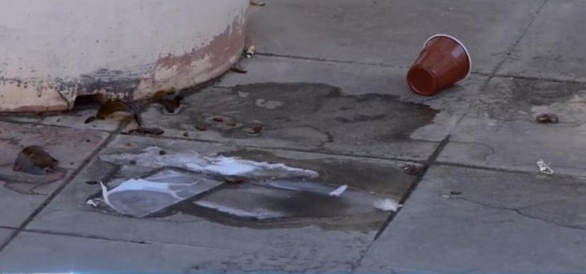 Pulizia quartieri, comitati: "Non possiamo aspettare tempi biblici per gli interventi" - 