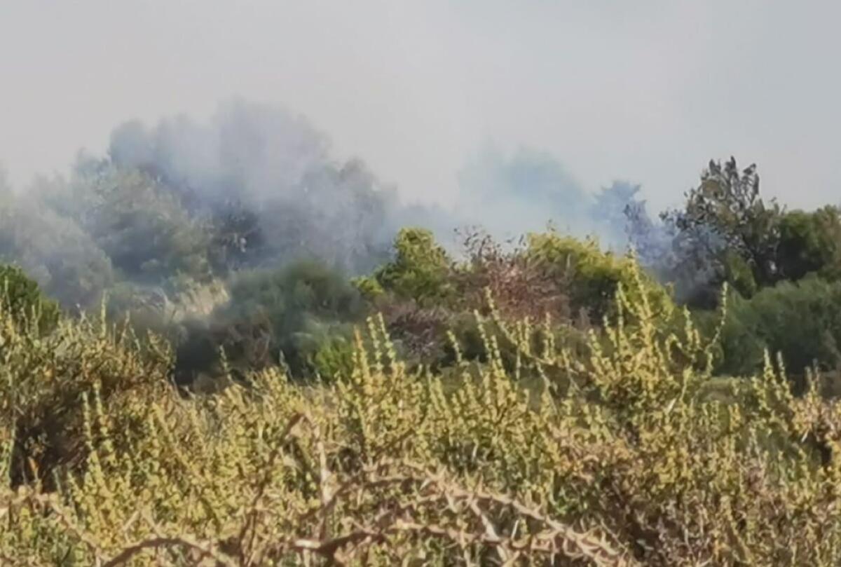 Fiamme a Montelungo, una scia infinita: distrutta vegetazione - 