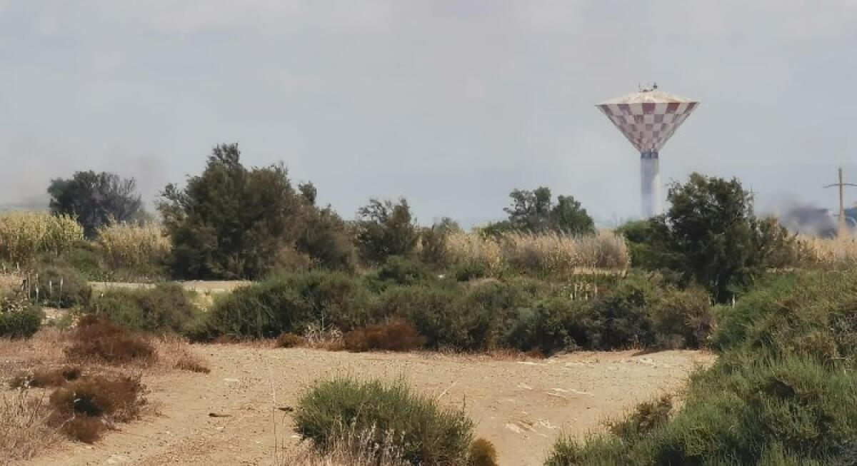 Montelungo, ancora un incendio: i roghi sono frequenti - Una delle aree di Montelungo