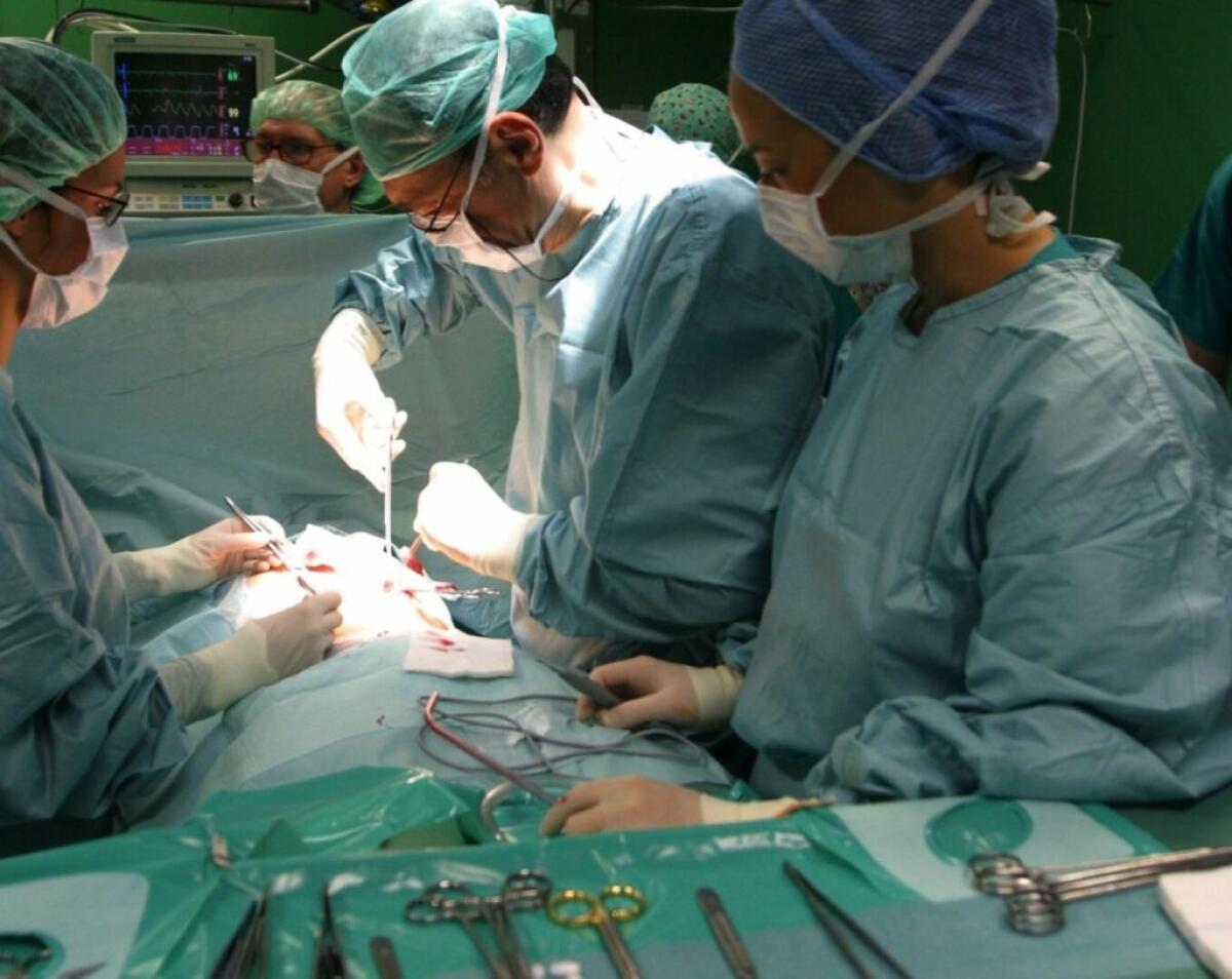 Centro Regionale Trapianti, in Sicilia entro l’anno stabilizzati tutti i dipendenti - 