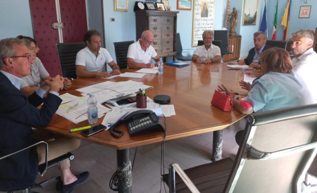 Più sterilizzazioni, controlli e incentivi: le scelte per contrastare il randagismo - L'incontro di oggi