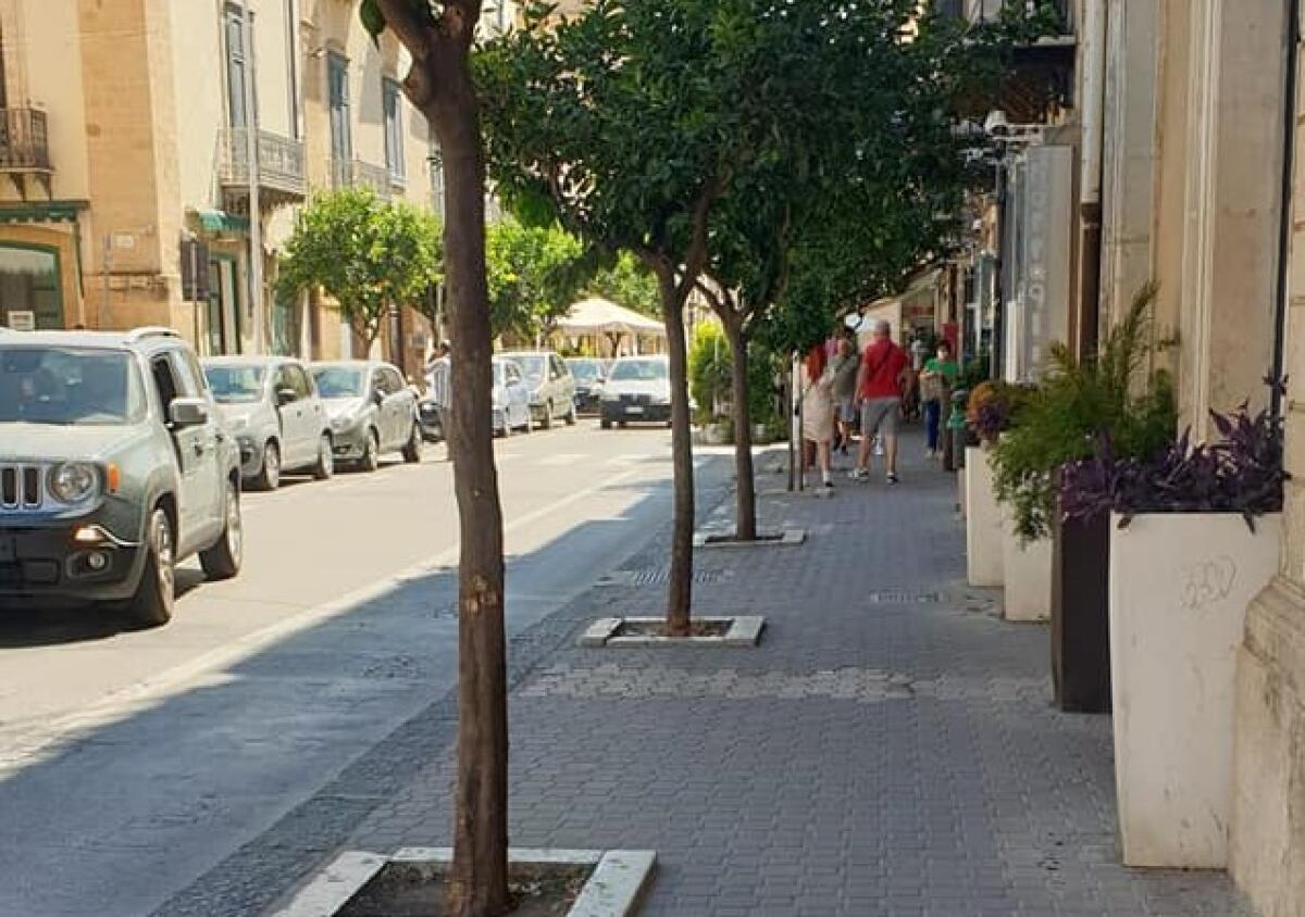 Furti e danneggiamenti, si accelera per videosorveglianza: "Sale operative e installazione" - 