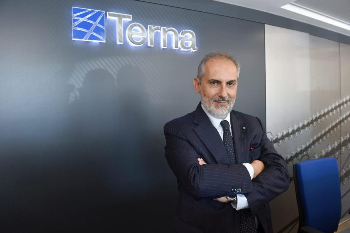 Donnarumma “Vera alternativa al gas russo sono le rinnovabili” - 