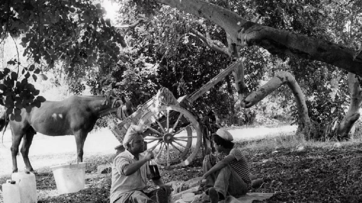 Da Sciascia a Bufalino ed una Sicilia unica nella "Pausa pranzo" di Leone - 