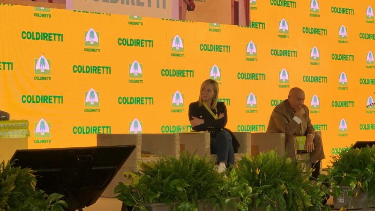 Meloni “Se chiamati a governare daremo risposte immediate ed efficaci” - 