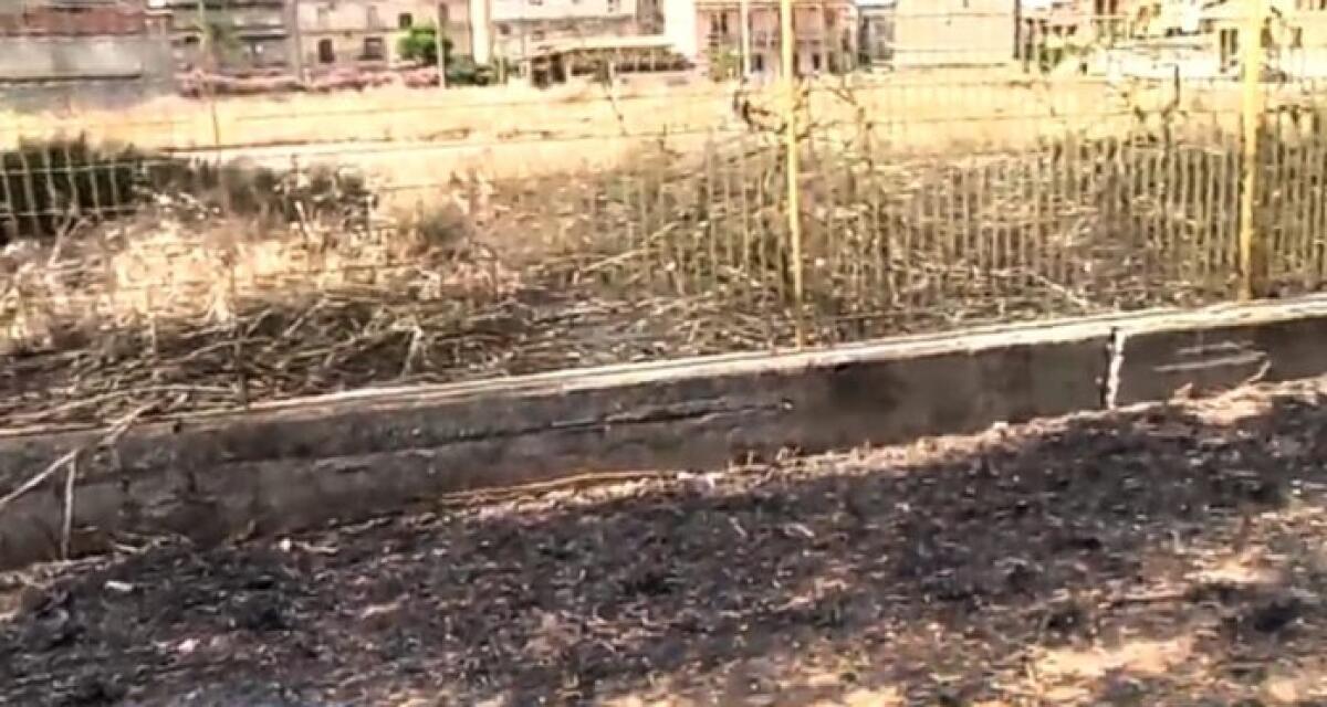Rogo di un'area incolta, incendio alla Cittadella: un'assoluzione - 