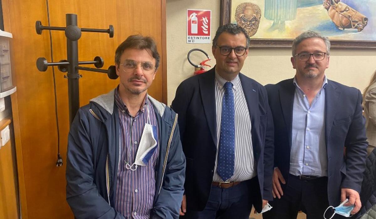 Bilancio, alt dei revisori: copertura insufficiente dei debiti e pesanti dubbi su royalties - Gli attuali  componenti del collegio dei revisori 