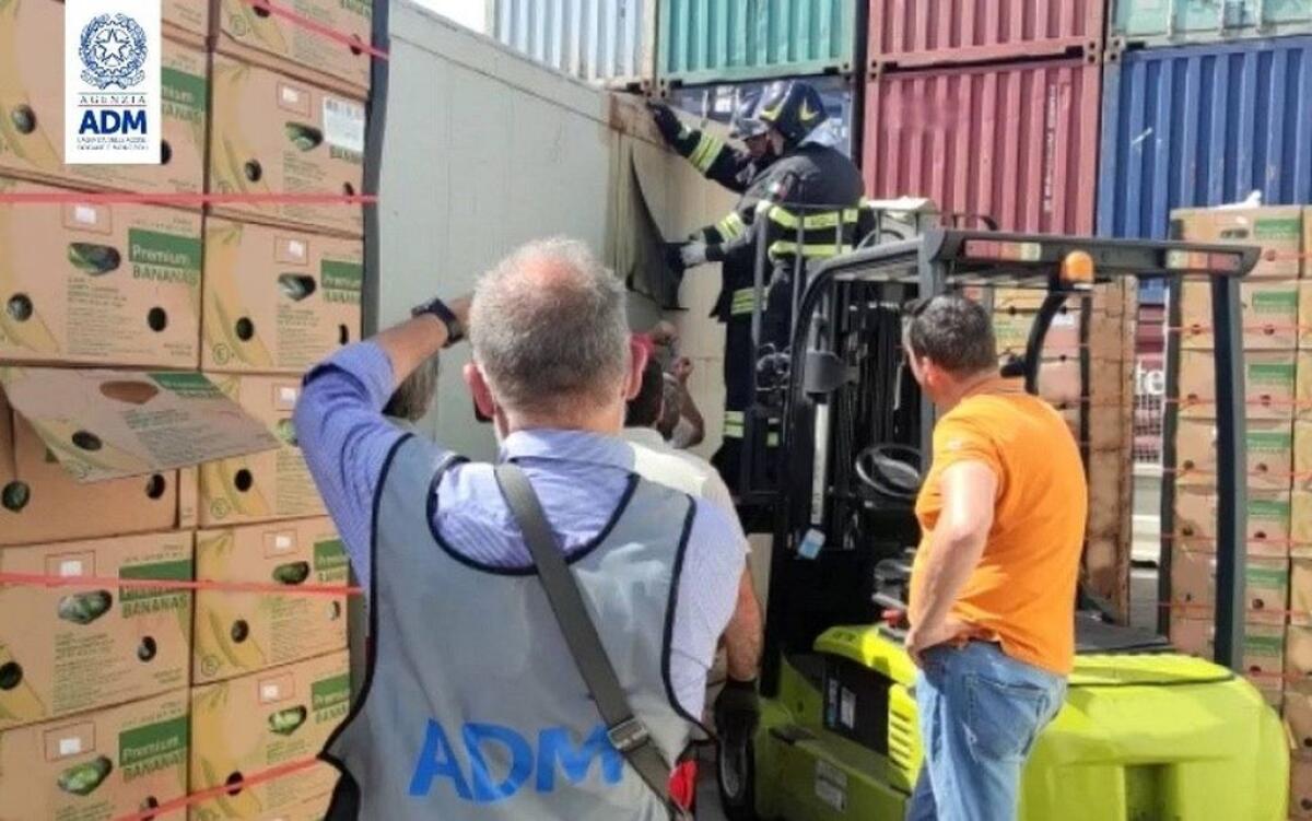 Al porto di Catania sequestrati 110 kg di cocaina per 12 milioni - 