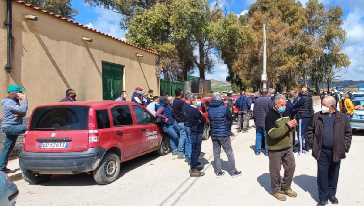 Crisi nera per l'agricoltura locale, Licata: "Possibile chiedere sgravi economici" - Agricoltori a Grotticelli