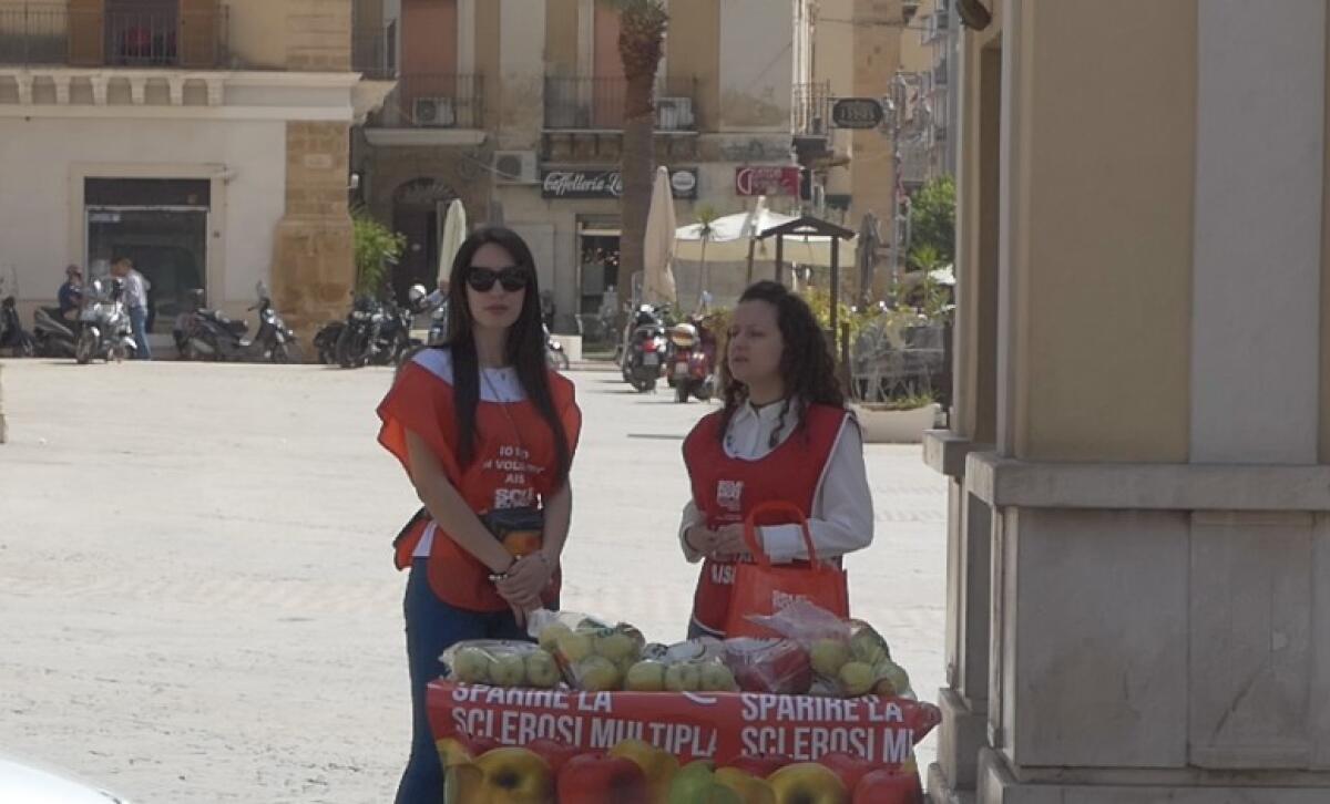 La ricerca contro la sclerosi multipla, anche in città le piazze dell'Aism -