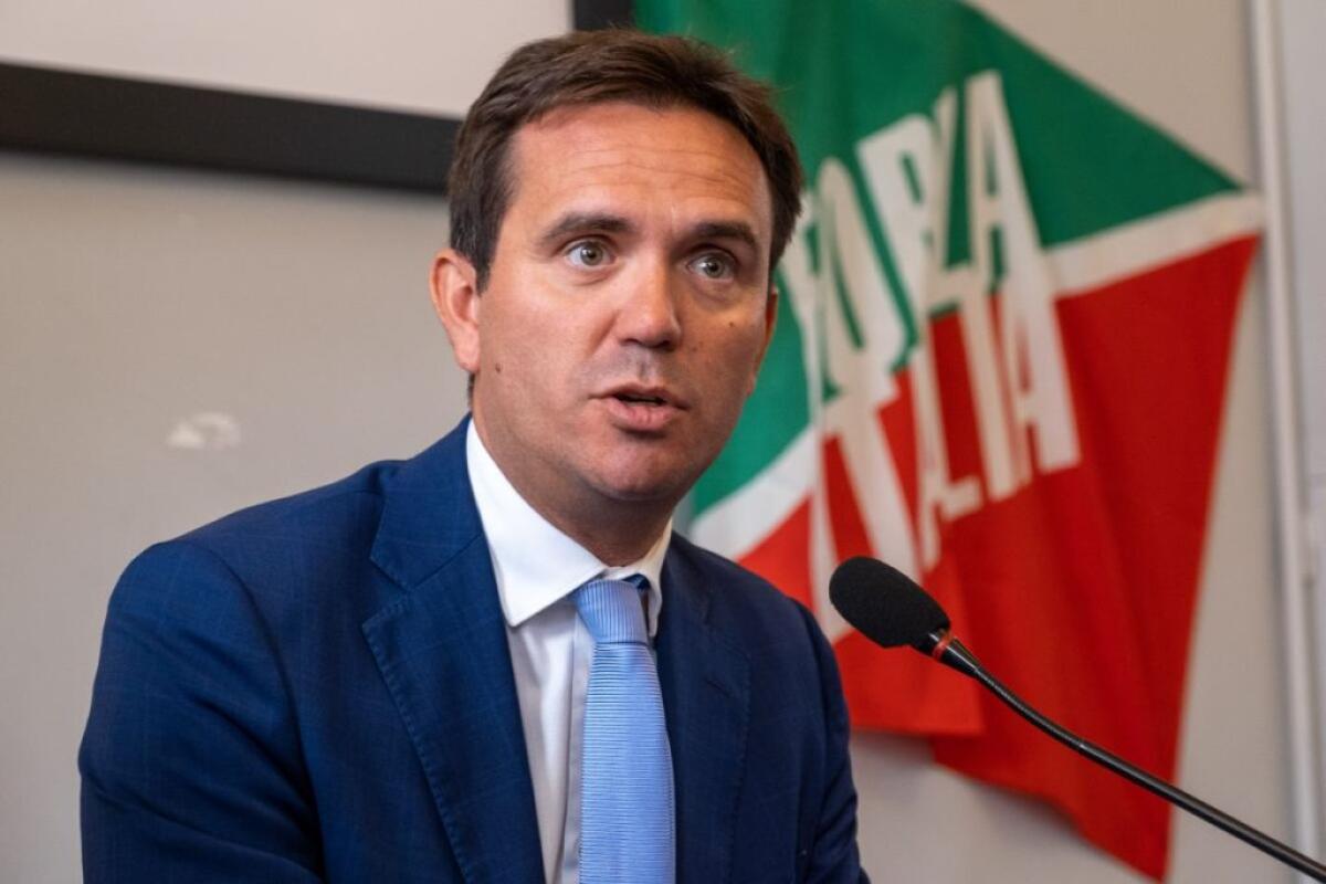 Ucraina, Cattaneo “L’atlantismo di Forza Italia è fuori discussione” - 