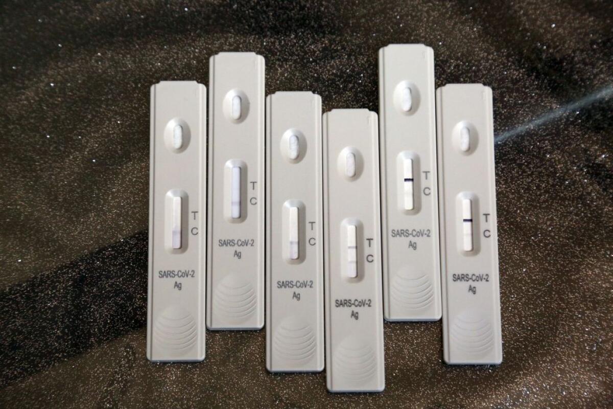 Covid, Sono 15.089 i nuovi positivi. 51 i decessi - 