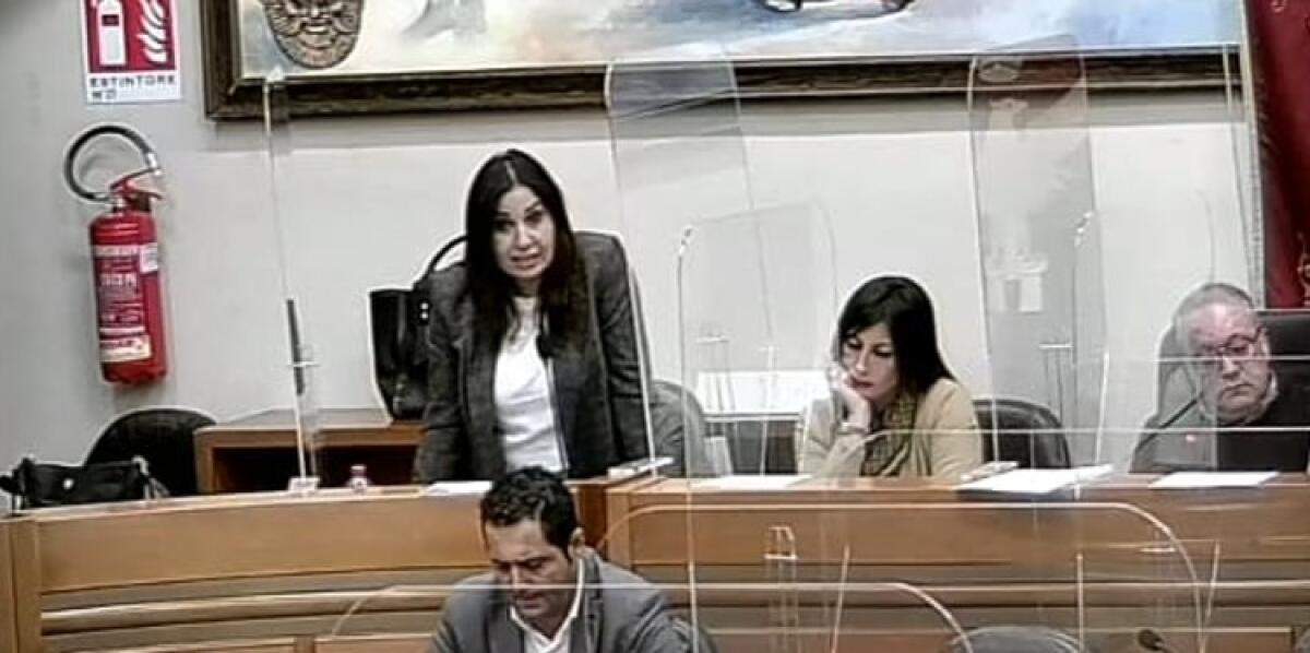 Disabili, passa atto di indirizzo ma FI rompe con i pro-Greco: Gnoffo, "non c'è buona fede" - 