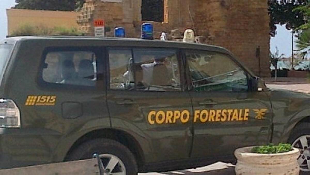 Accusato di aver cacciato in un'area vietata, arriva assoluzione per l'imputato - 