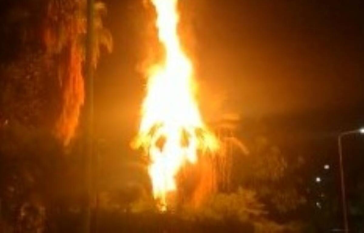 Nella notte rogo in piazza Russello, palme in fiamme e danneggiato palo illuminazione - 