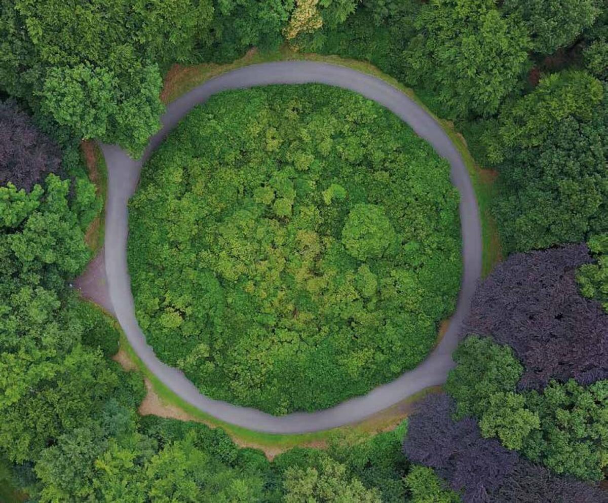 La ricetta green di Cobat Tessile a Ecomondo 2022 - 