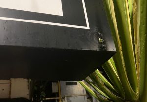 telecamere-rubate-300x209.jpg