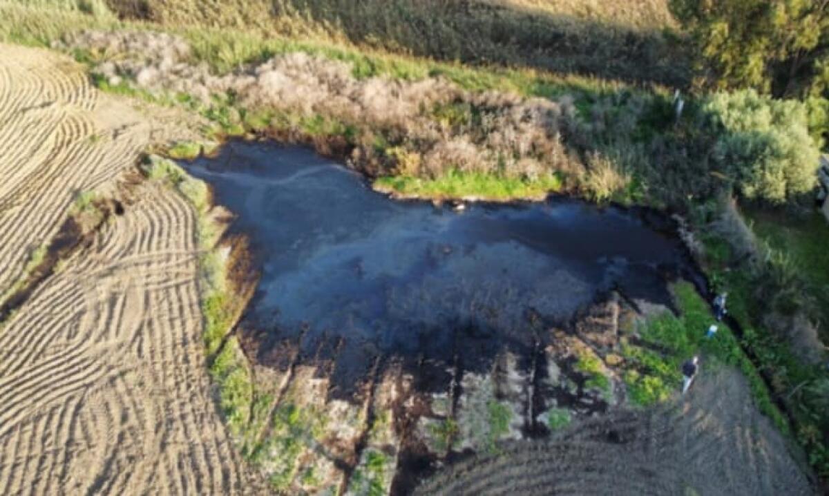 Acque di lavorazione di un frantoio sversate a ridosso del fiume Gela, "area va bonificata" - L'area dello sversamento